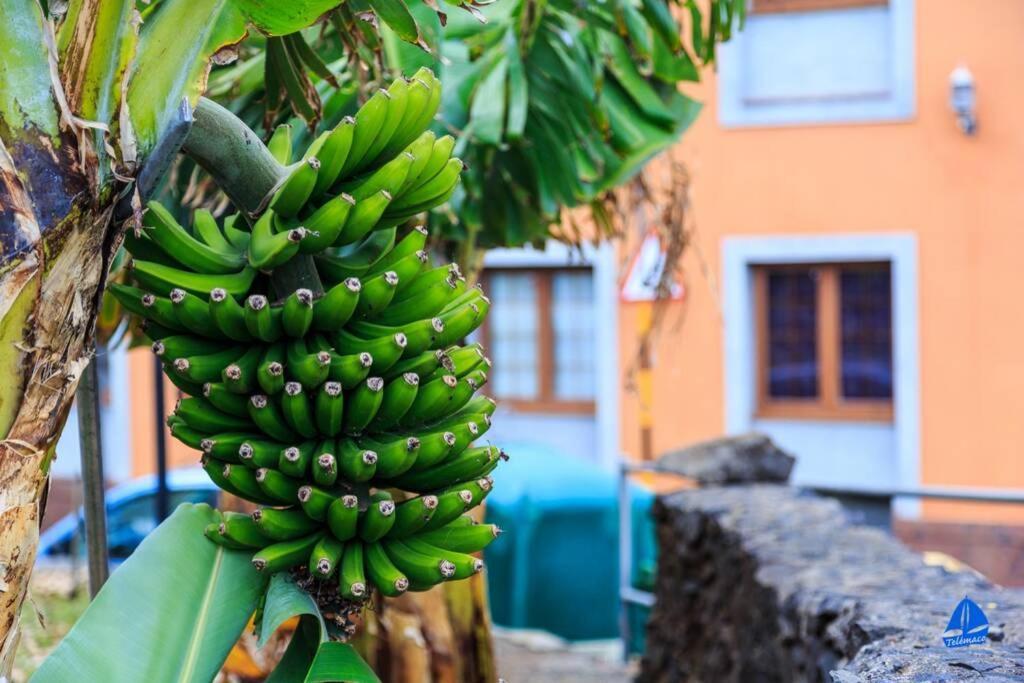 Telemaco Blue Apartment Agulo Luaran gambar